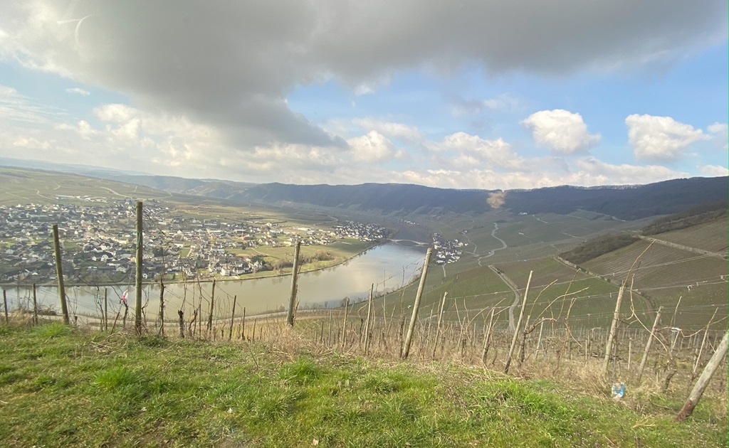 mosel